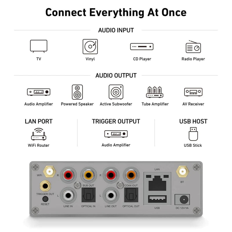 Arylic S50Pro Plus - WiFi & Bluetooth Audio Streaming Pre-amplifier